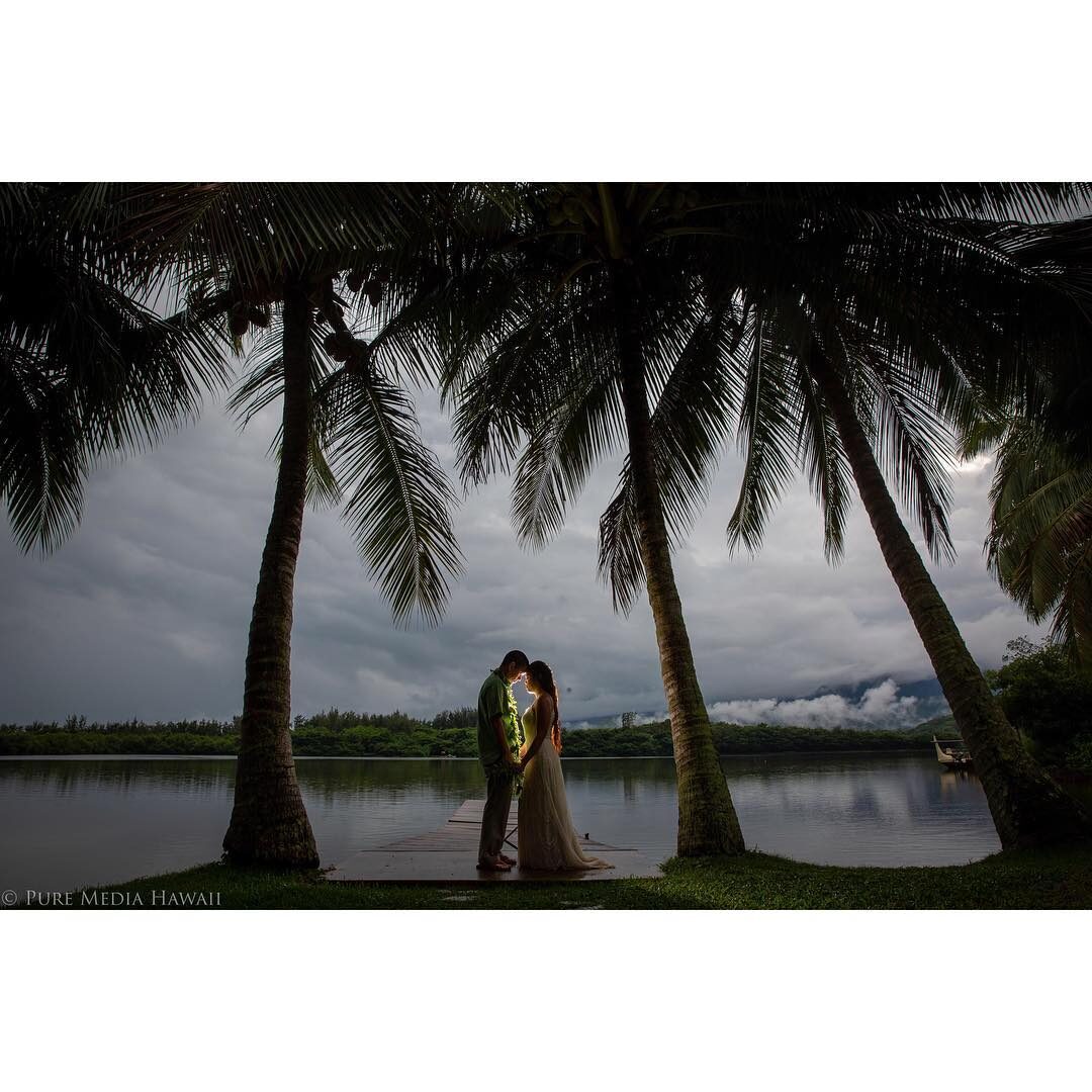 Turtle Bay Resort Wedding Photography — Everything You Need to Know — Pure Media Hawaii